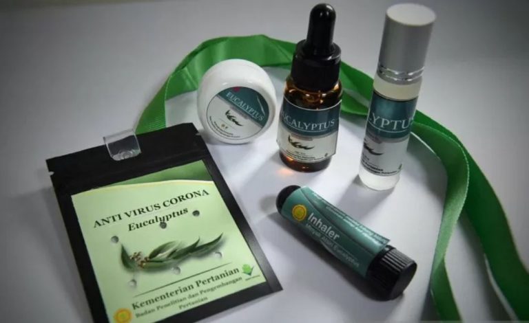 Inovasi Produk Penangkal Corona Berbahan Eucalyptus Diluncurkan Kementan