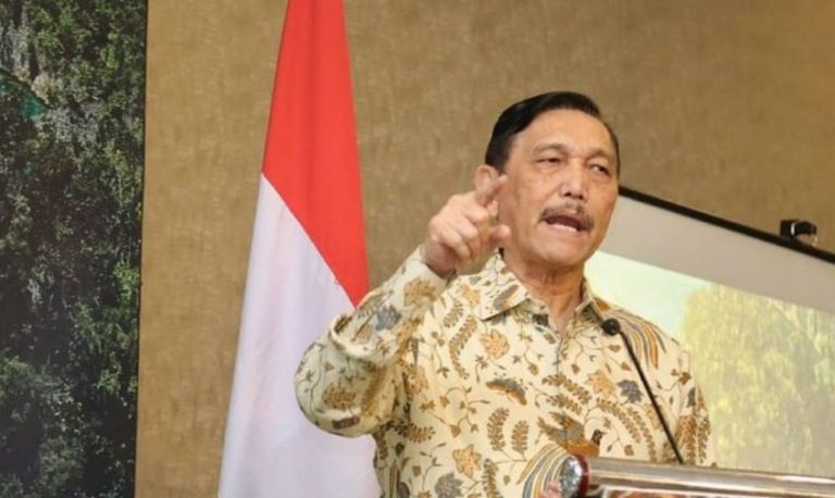 Luhut Panjaitan:Pandemi Corona Mendorong Indonesia Lebih Mandiri