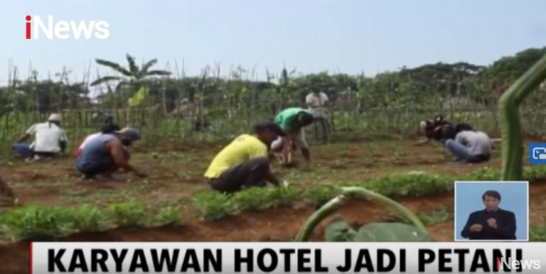 Pengelola Hotel di Banten Ajak Karyawan Bertani