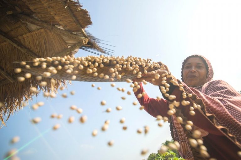 Food Heritage Itu Berasal Dari Desa Wisata Hanjeli