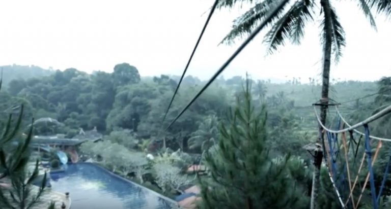 Ingin Menikmati Suasana Hutan Dalam Kota, Destinasi Ini Bisa Jadi Pilihan