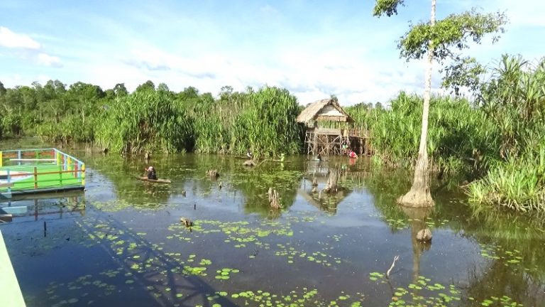 Tebat Rasau, Sungai Purba Nan Cantik Di ‘Negeri Laskar Pelangi’