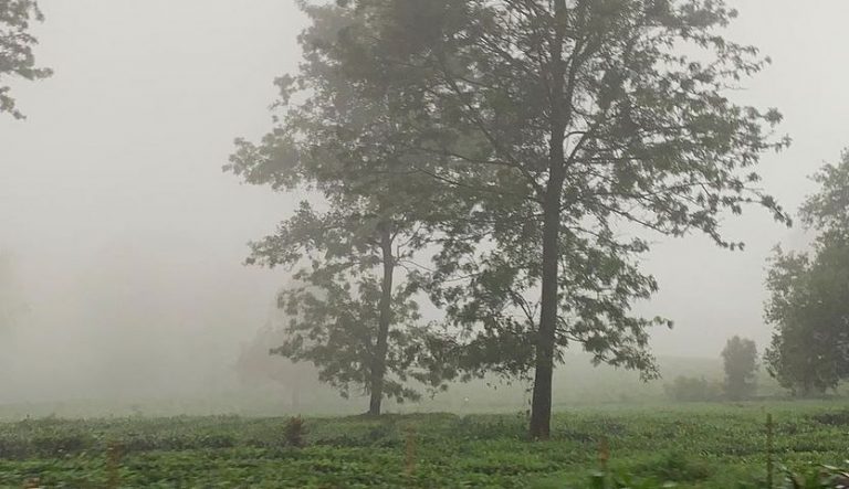 Agrowisata Gunung Mas Buka Kembali, Hati-hati Kabut Tebal