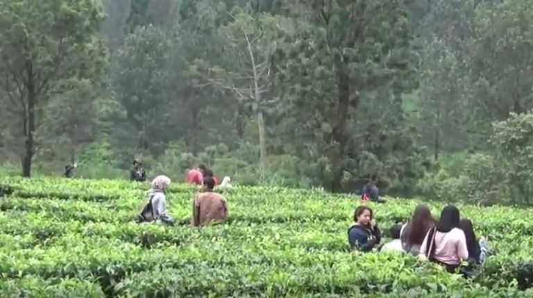 Virus Covid-19 Varian Delta Cepat Menyerang, Pelaku Pariwisata Diminta Disiplin