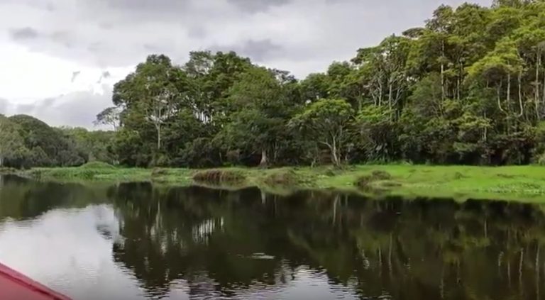 Wow, Indonesia Juga Memiliki Sungai Amazon, Dimana?