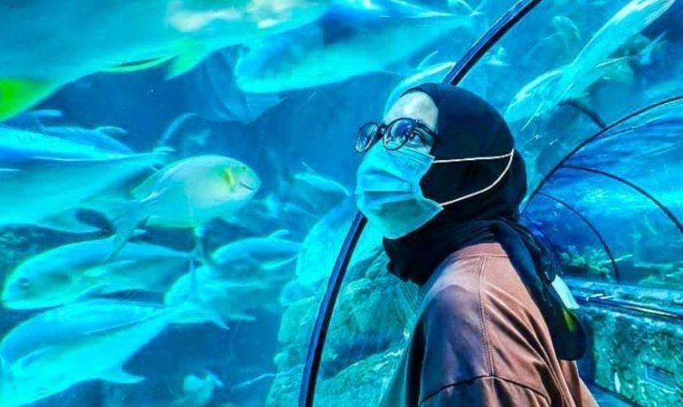 Hayu Ke Sea World Ancol, Ada Promo Tiket Hemat Lho