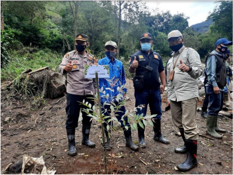 Pemulihan Gunung Mas Bogor, PTPN VIII Siapkan 40 Ribu Bibit Tumbuhan