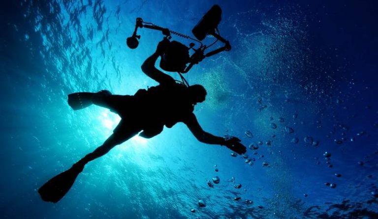 7 Spot Diving Banyuwangi Terbaik. Bisa Lihat Karang Cantik sampai Renang Bareng Hiu!