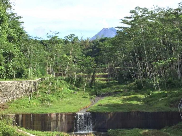 7 Desa Wisata di Sleman, Surganya Buah Salak!