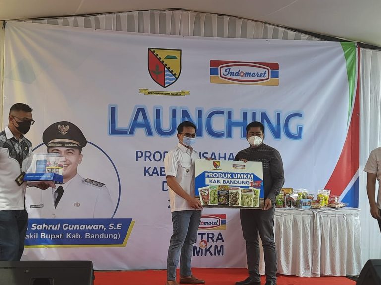 Rencana Sahrul Memaksimalkan Industri Kreatif, Apa saja?
