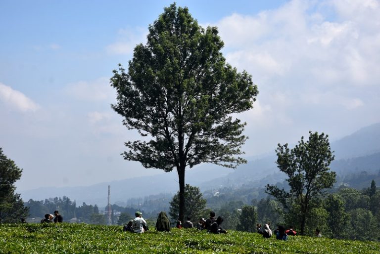 Wisata Puncak Bogor Kembali Menggeliat Setelah Kunjungan Sandiaga