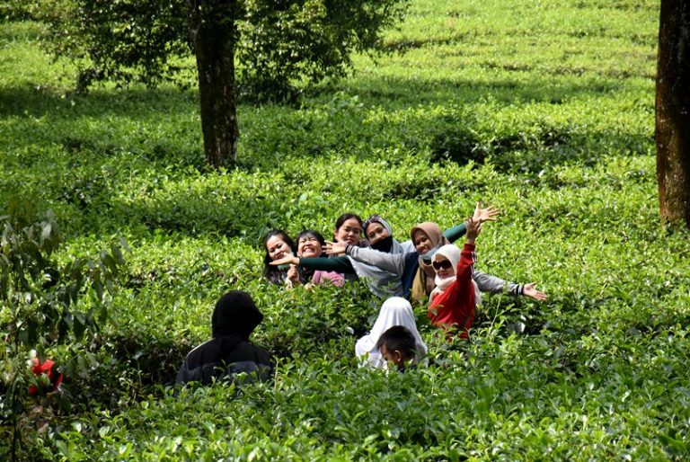 Kabupaten Bogor Sadar, Pariwisata Kini Penyelamat PAD