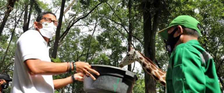 Pengunjung Taman Margasatwa Ragunan Terus Menurun, Karena Hal Ini
