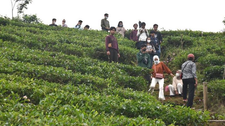 Disparbud Jabar Akan Bangun Konsep Wisata Alam Tanpa Merusak
