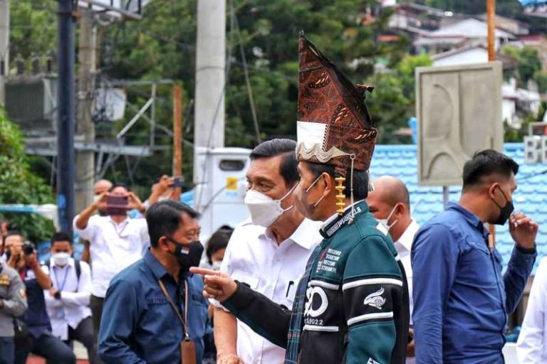 Tanam Dahulu Baru Petik Kemudian, Ini Permintaan Luhut ke Presiden