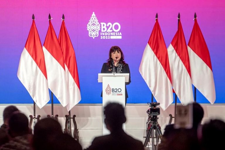 Kadin Sebut Anggaran PEN Sudah Rasional, Bisa Membantu UMKM