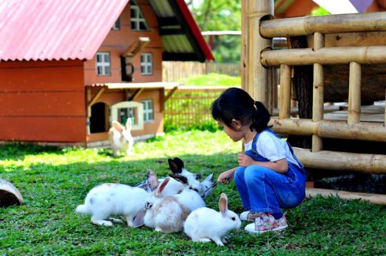 Apa Saja Tempat Rekreasi di Subang, Ikuti Jejak Digital Ini