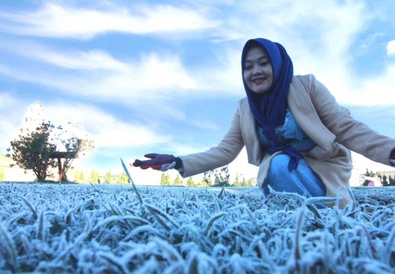 Embun Es Kembali Turun di Dataran Tinggi Dieng, Fakta Fenomena Unik