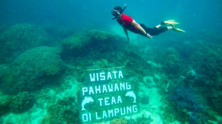 Perusahaan Swasta Diminta Mengembangkan Wisata Lokal