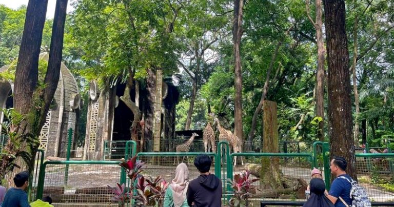 Gowes di Taman Margasatwa Ragunan, Ini Harga Sewa Sepeda