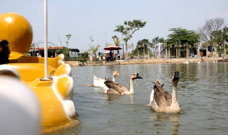 Tepi Kota Healing, Jadi Tempat Hiburan Hemat di Kota Bandung