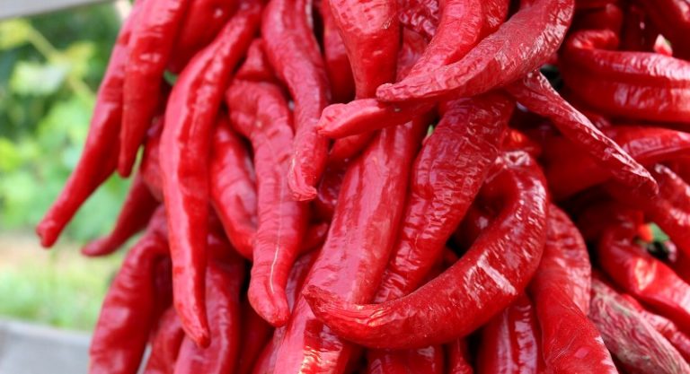 Harga Cabai Tembus Rp 120 Ribu per Kilo, Apa Kabar Restoran?