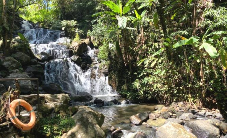  D’Valley Waterfall, Oase Alam yang Segar dengan Gemericik Curug Awi Langit