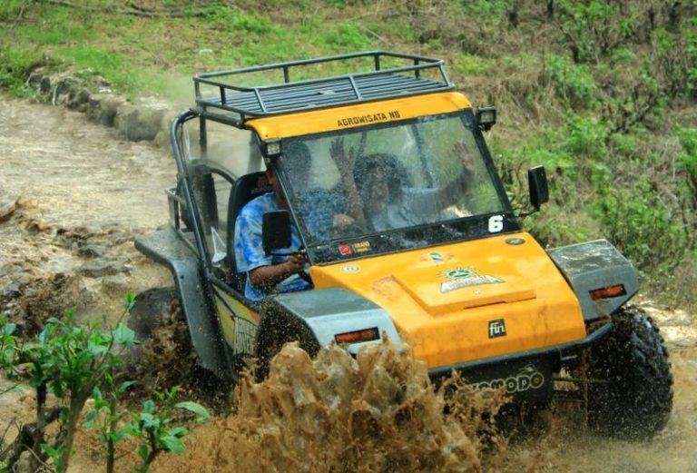 Eksplorasi Kawasan Puncak Bogor, Ini 5 Destinasi Menarik yang Perlu Dicoba