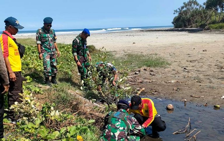 Lanud Husein Sastranegara Tanam Pohon Mangrove Di Sepanjang Sungai Cijambe