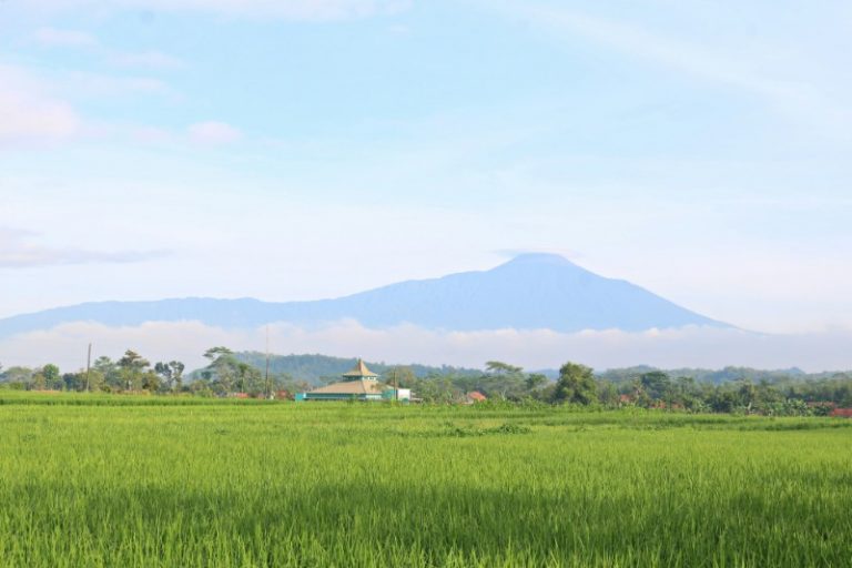 Kenaikan Tarif  PPN Jadi 12 Persen, Pemerintah Pastikan Barang Pokok Tetap Bebas Pajak