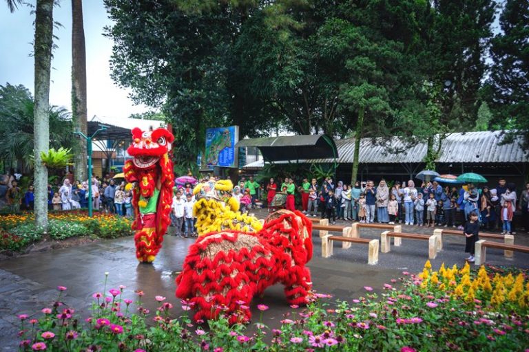 Diiringi Musik Gendang Tambur, Atraksi Barongsai Pukau Pengunjung Sari Ater