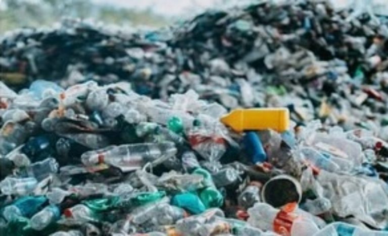 Aksi Bersih Pantai di Batukaras, Pemerintah dan TNI Berkolaborasi Atasi Sampah Laut