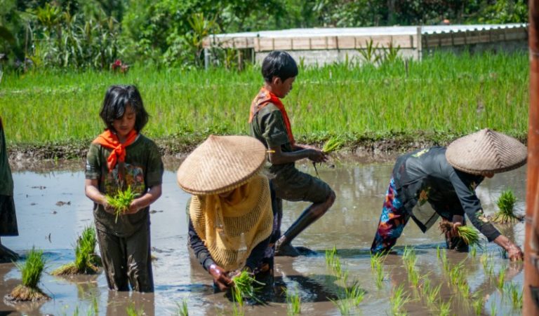 Solusi Bijak Kegiatan Study Tour Tanpa Membebani Orangtua