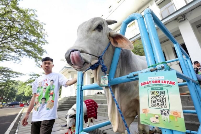 DKPP Bandung Sisir Hewan Kurban Tak Layak Jelang Idul Adha 2025