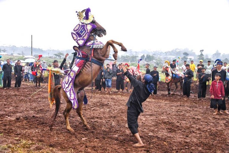 Wagub Jabar Buka Cibogo Horse Festival 2025, Kejar Target Infrastruktur Pacuan Kuda di Sumedang