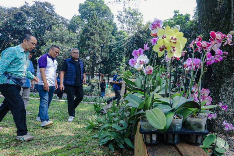 Pendopo Kota Bandung Jadi Tempat Konservasi Anggrek, Hidupkan Kembali Kota Kembang