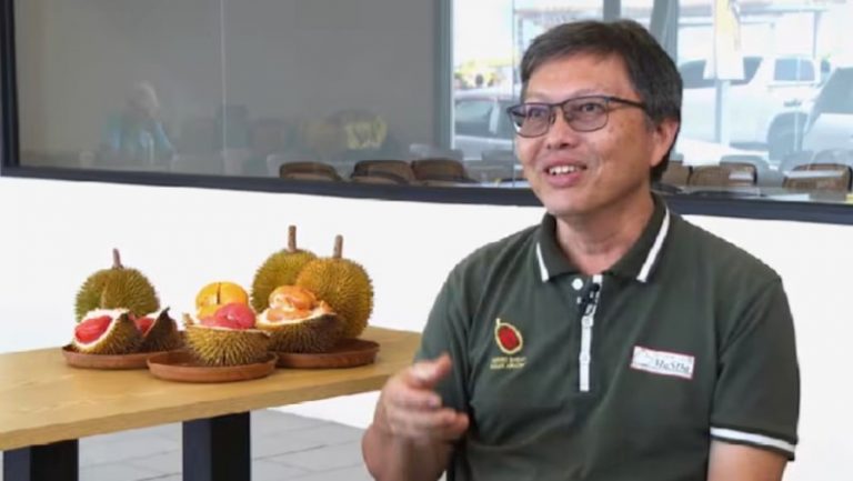 Malaysia Kini Jadi Destinasi Durian Dunia, Setiap Tahun Ada 13 Varietas Hadir di Festival