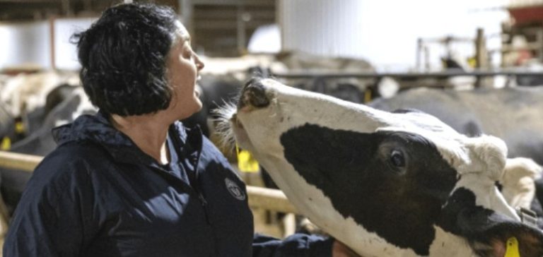 Kadin Indonesia Selangkah Lagi Realisasikan Kerja Sama Pengadaan Susu dengan US Dairy