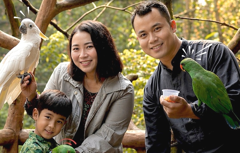 Akhir Pekan ke Taman Safari Bogor, Cek Dulu Harga Tiket dan Jam Bukanya